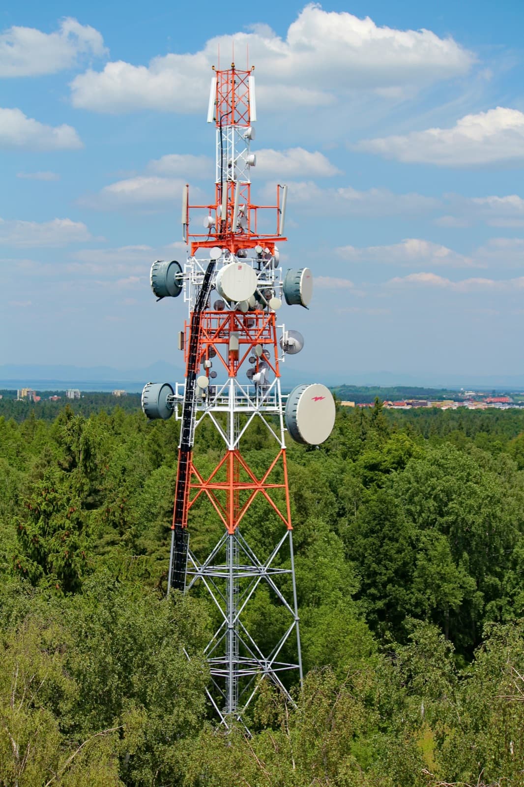 A red and white telecom tower standing above a forest